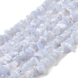 Ágata Lace Azul De encaje de color natural, perlas de chips de ágata hebras, 5~8x5~8 mm, agujero: 1 mm; aproximadamente 16 pulgada.
