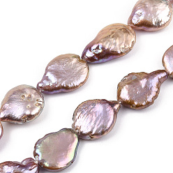 Pourpre Moyen Perles de nacre naturelle brins Keshi, perle de culture d'eau douce, perles baroques, larme, support violet, 13.5~18.5x12~13.5x4~8mm, Trou: 0.6mm, Environ 24 pcs/chapelet, 15.08 pouce (38.3 cm)