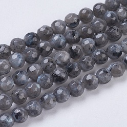 Larvikite Natural Larvikite Beads Strands, Faceted, Round, Gray, 4mm, Hole: 1mm, about 90pcs/strand, 15.35 inch