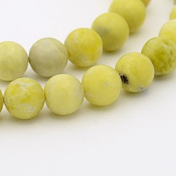 Jade Jaune  Jade naturel de citron rangées de perles rondes, 10mm, Trou: 1mm, Environ 40 pcs/chapelet, 15.7 pouce