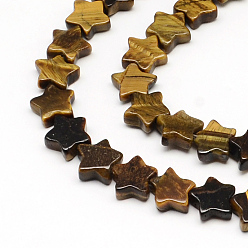 Tiger Eye Star Natural Tiger Eye Beads Strands, 11x11.5x4~5mm, Hole: 1mm, about 20pcs/strand, 7.87 inch