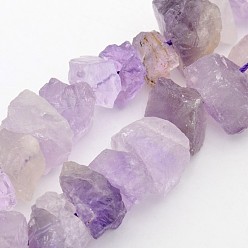 Amethyst Natural Amethyst Nuggets Bead Strands, 12~16x6~15mm, Hole: 1mm, about 15.7 inch