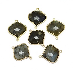 Labradorita Conectores de enlaces de labradorita natural, con fornituras de latón de tono de oro, facetados, 26x21.5x5.5 mm, agujero: 1.5~1.6 mm