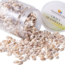 Wheat Natural Spiral Shell Beads, Wheat, 11~18x6~9x5~7.5mm, Hole: 1mm, about 185g/box