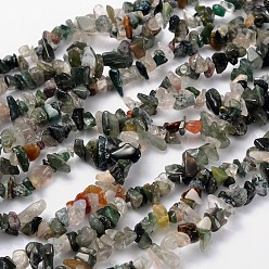 Indian Agate Natural Indian Agate Beads Strands, Chips, 5~8mm, Hole: 0.3mm, 33 inch
