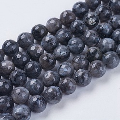 Larvikite Natural Larvikite Beads Strands, Faceted, Round, 8mm, Hole: 1mm, about 46pcs/strand, 15.75 inch