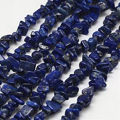Королевский синий Нитки бусины из натурального ляписа-лазури, чип, класс b, королевский синий, 3~5x7~13x2~4 мм, отверстие : 0.4 мм, 34.9 дюйм