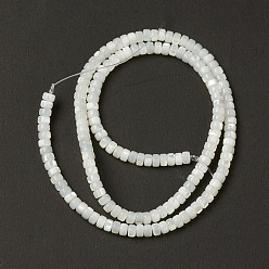 Marfil Cuentas de concha de troquídea natural / concha de troco, perlas heishi, Disco redondo plano, blanco cremoso, 4x2.5 mm, agujero: 0.9 mm, sobre 158 unidades / cadena, 15.47'' (39.3 cm)