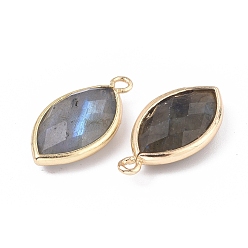 Labradorite Natural Labradorite Pendants, with Golden Plated Brass Findings, Faceted, Horse Eye, 21.5x11.5x3~5mm, Hole: 1.6mm