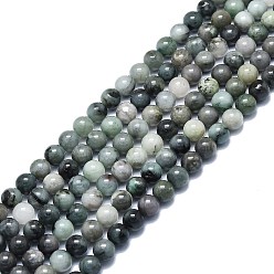 Émeraude Brins de perles de quartz émeraude naturelle, ronde, 8.5mm, Trou: 1mm, Environ 48 pcs/chapelet, 15.35 pouce (39 cm)