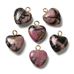 Rhodonite Pendentifs en rhodonite naturelles, charms coeur avec passants en laiton plaqué or, 15~15.5x12~12.5x4.5~5.5mm, Trou: 2mm