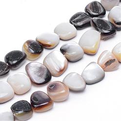 Blanco Marinas naturales hebras de perlas shell, blanco, 9~13x9~14x2.5~7 mm, agujero: 1 mm, sobre 37 unidades / cadena, 14.96 pulgada