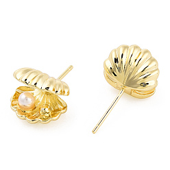 Real 14K Gold Plated Natural Pearl Shell/Scallop Shape Stud Earrings with 925 Sterling Silver Pins, Brass Jewelry for Women, Real 14K Gold Plated, 11.5x10x9mm, Pin: 0.8mm