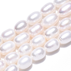 Seashell Color Natural Cultured Freshwater Pearl Beads Strands, Rice, Seashell Color, 7~11.5x6~6.5mm, Hole: 0.7~0.8mm, about 38~45pcs/strand, 14.37 inch(36.5cm)