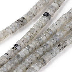Labradorite Natural Labradorite Beads Strands, Heishi Beads, Flat Round/Disc, 4.5x2.5mm, Hole: 0.8mm, about 160pcs/Strand, 15.7 inch(40cm)