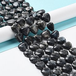 Labradorite Brins de perles de larvikite naturelles, avec des perles de rocaille, cœur, 14~15x15x6~6.5mm, Trou: 1.4mm, Environ 23~24 pcs/chapelet, 14.57'' (37 cm)