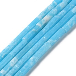 Светло-Голубой Синтетические окрашенные нити императорской яшмы, колонка, Небесно-голубой, 4~4.5x13~14 мм, отверстие : 1.2 мм, около 27~29 шт / нитка, 14.72''~14.96'' (37.4~38 см)
