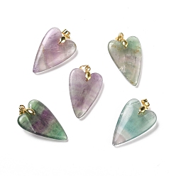 Fluorite Natural Fluorite Pendants, with Rack Plating Golden Plated Brass Findings, Long-Lasting Plated, Heart, 32~34x20x8mm, Hole: 4x4mm