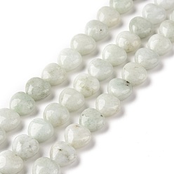 Myanmar Jade Perles de jade du Myanmar naturel / jade birmane, cœur, 10x10x6mm, Trou: 1mm, Environ 41 pcs/chapelet, 15.55 pouce (39.5 cm)