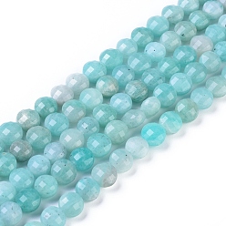 Amazonite Natural Amazonite Beads Strands, Faceted, Flat Round, 10~10.5x7~7.5mm, Hole: 1mm, about 40~41pcs/strand, 15.35 inch(39cm)long