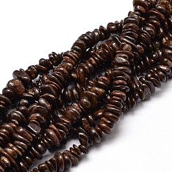 Bronzite Natural Bronzite Chip Beads Strands, 4~14x4~12mm, Hole: 1mm, about 15.3 inch~16.1 inch