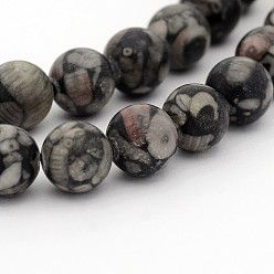 Other Jade Natural Jade Round Bead Strands, Black, 12mm, Hole: 1mm, about 34pcs/strand, 15.7 inch