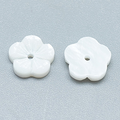 Seashell Color Freshwater Shell Beads, Flower, Seashell Color, 7.5x8x2mm, Hole: 1mm