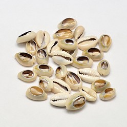 Verge D'or Pâle Perles de coquillage cauri naturelles, sans trou, verge d'or pale, 13~16x8~10x5mm, environ800~1000 pcs / 500 g