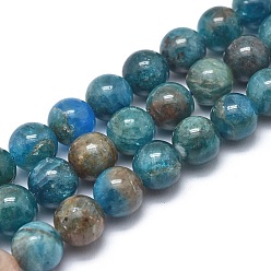 Apatite Perles naturelles apatite brins, classe ab, ronde, 8mm, Trou: 1mm, Environ 49 pcs/chapelet, 14.9 pouce (38 cm)