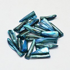 Steel Blue Dyed Natural Freshwater Shell Nugget Stick Beads, Steel Blue, 22~35x5~7x2mm, Hole: 1mm, about 510pcs/500g