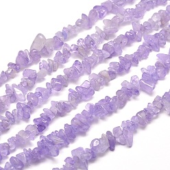 Amethyst Natural Amethyst Chip Bead Strands, 5~8x5~8mm, Hole: 1mm, about 31.5 inch