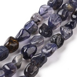 Iolita Perlas naturales iolite hebras, pepitas, 9~13.5x8~9.5x4~8 mm, agujero: 0.8 mm, sobre 42~43 unidades / cadena, 15.35~15.94'') (39~40.5 cm)