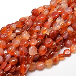 Carnelian Dyed Natural Carnelian Nuggets Beads Strands, Tumbled Stone, 4~8x6~9x5~7mm, Hole: 1mm, about 15.3 inch~15.7 inch