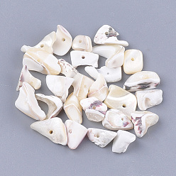 Coquillage De Mer Perles de coquille de mer, puce, couleur de coquillage, 5~37x3~13x1~7mm, Trou: 1mm