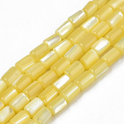 Yellow Natural Trochid Shell/Trochus Shell Beads Strands, Dyed, Column, Yellow, 4~5x3~3.5mm, Hole: 0.9mm, about 77~78pcs/strand, 15.55 inch~15.75 inch(39.5~40cm)