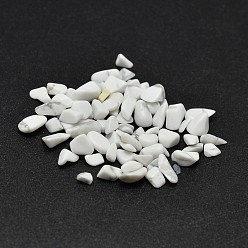 Howlite Howlite Chip Beads, No Hole/Undrilled, 2~8x2~4mm, about 8500pcs/500g