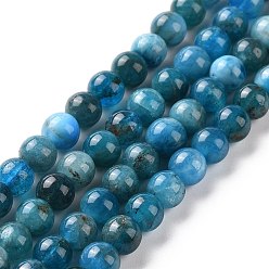 Apatite Natural Apatite Beads Strands, Round, 5.5mm, Hole: 1mm, about 74pcs/strand, 16.1 inch(41cm)