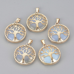 Opalite Opalite Pendants, with Brass Findings, Flat Round with Tree of Life, Golden, 30.5x27x8mm, Hole: 7x3mm