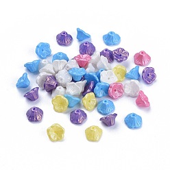 Couleur Mélangete Perles de verre tchèques, fleur de trompette, couleur mixte, 7~7.5x5mm, Trou: 0.9mm, environ 237 pcs ~ 243 pcs / bag