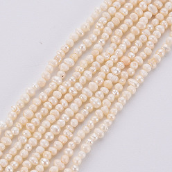 Color de la concha Hilos de perlas de agua dulce cultivadas naturales, color de concha, 1.5~2x1.5~3x1.5~2 mm, agujero: 0.5 mm, sobre 142 unidades / cadena, 13.78 pulgada (35 cm)