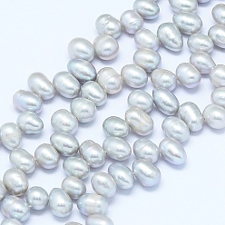 Light Steel Blue Natural Cultured Freshwater Pearl Beads Strands, Potato, Light Steel Blue, 7~10x6~7mm, Hole: 0.8mm, about 65pcs/strand, 13.7 inch(35cm)