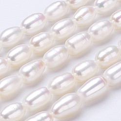 Seashell Color Natural Cultured Freshwater Pearl Beads Strands, Rice, Seashell Color, 8~10x6~7mm, Hole: 0.5mm, about 35~40pcs/strand, 14 inch