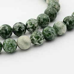 Камень с Зелеными Точками Натуральные зеленые пятна яшмы круглые нити из бисера, 12 мм, отверстие : 1 мм, около 34 шт / нитка, 15.7 дюйм