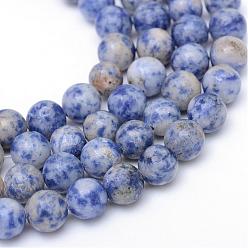 Jaspe Avec Point Bleu Brins de perles de jaspe tache ronde naturelle tache bleue naturelle, 10~11mm, Trou: 1mm, Environ 37 pcs/chapelet, 15 pouce