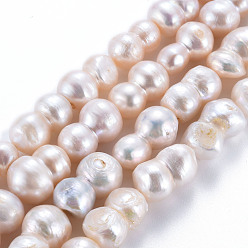 Seashell Color Natural Keshi Pearl Beads Strands, Cultured Freshwater Pearl, 8 Shape, Seashell Color, 17~21x10~14x10~13mm, Hole: 0.6mm, about 19~20pcs/strand, 15.35 inch(39cm)
