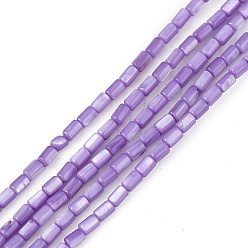 Medium Purple Natural Freshwater Shell Dyed Beads Strands, Column, Medium Purple, 4.8x3mm, Hole: 0.8mm, about 78pcs/strand, 14.96''(38cm)
