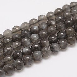 Черный Натуральный черный лунный камень бисер пряди, круглые, чёрные, 6 мм, отверстие : 0.8 мм, около 61 шт / нитка