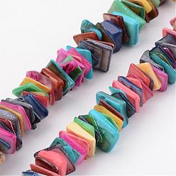 Colorful Natural Shell Bead Strands, Dyed, Rectangle, Colorful, 10~15x10~13x1~7mm, Hole: 1mm, about 15.7 inch