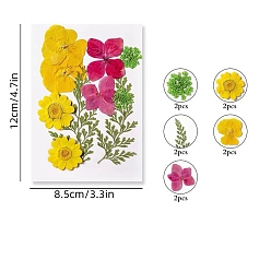 Gold PET Waterproof Self Adhesive Dried Flower Stickers Sets, DIY Hand Bookmark Decoration Sticker, Flower, Gold, 120x85mm