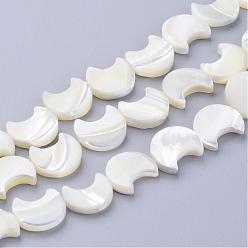 White Natural White Shell Beads Strands, Mother of Pearl Shell Beads, Moon, White, about 11mm wide, 12mm long, 3mm thick, hole: 1mm, 34 pcs/strand, 16 inch